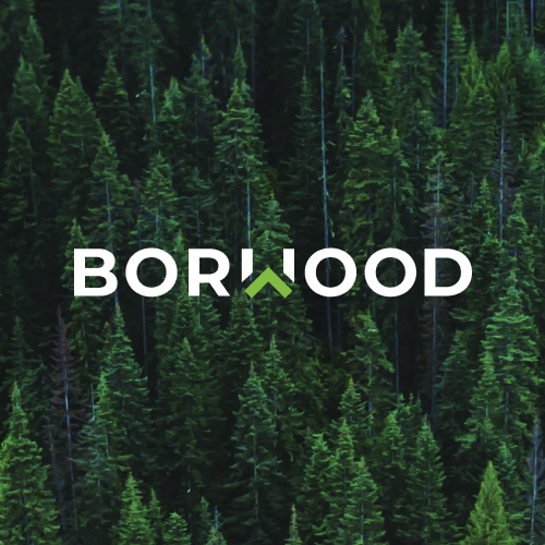 Корпоративный сайт Холдинга «BORWOOD»